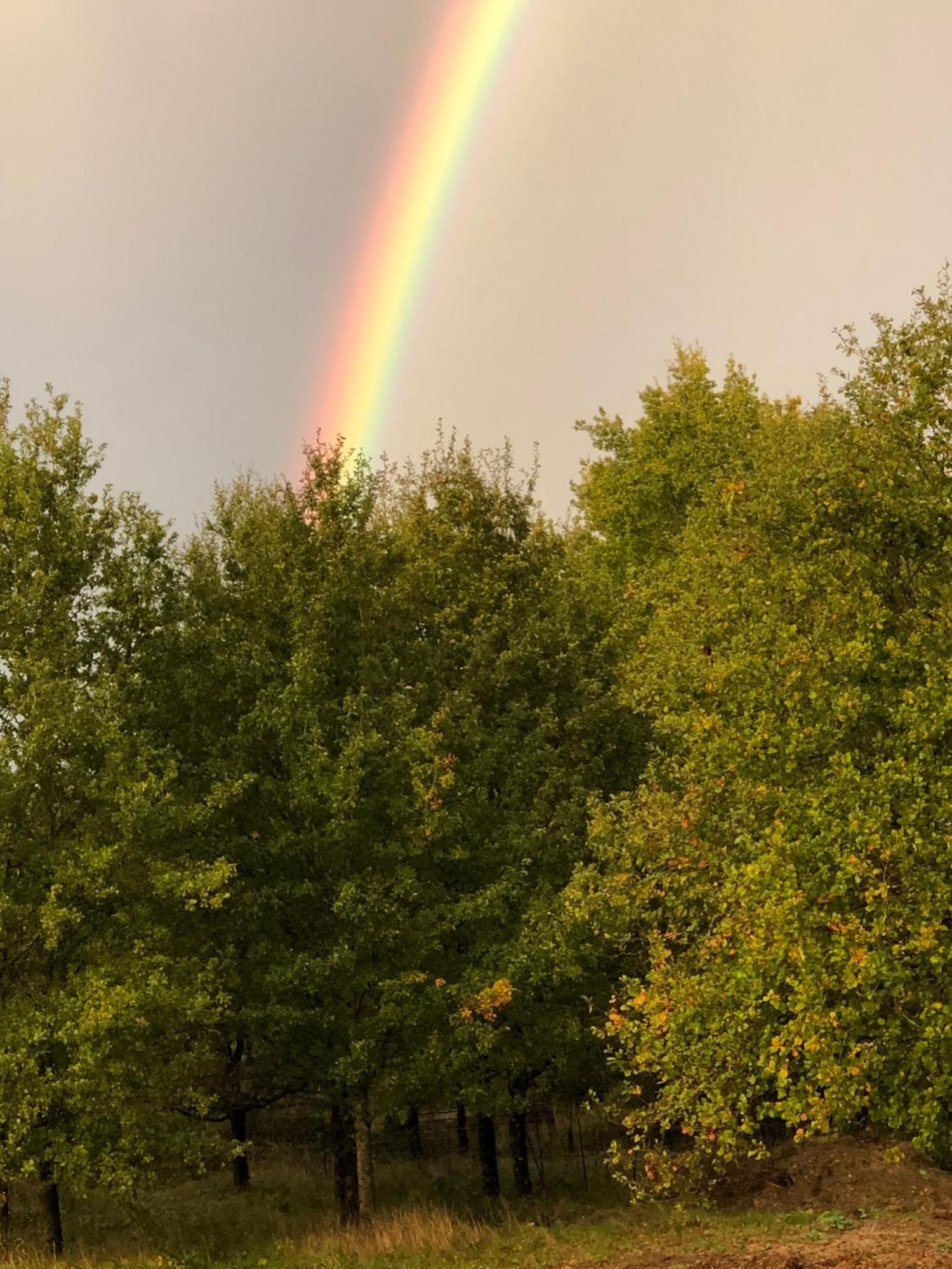 Les Colas Saint-Fargeau  Buitenkant foto